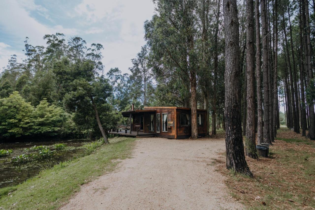 Cabanas En El Bosque A 5 Minutos Del Mar - Estancia Ch プンタ・デル・エステ エクステリア 写真