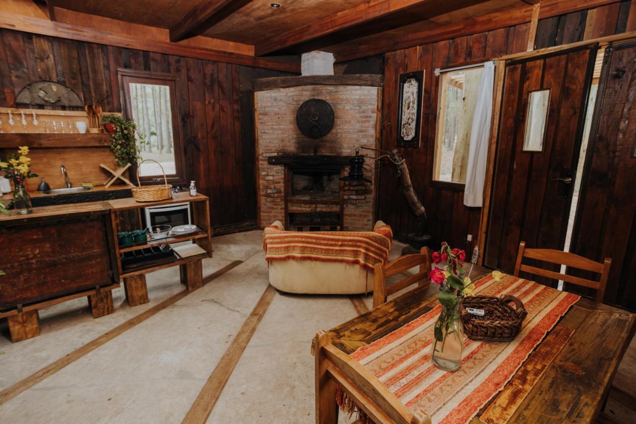 Cabanas En El Bosque A 5 Minutos Del Mar - Estancia Ch プンタ・デル・エステ エクステリア 写真