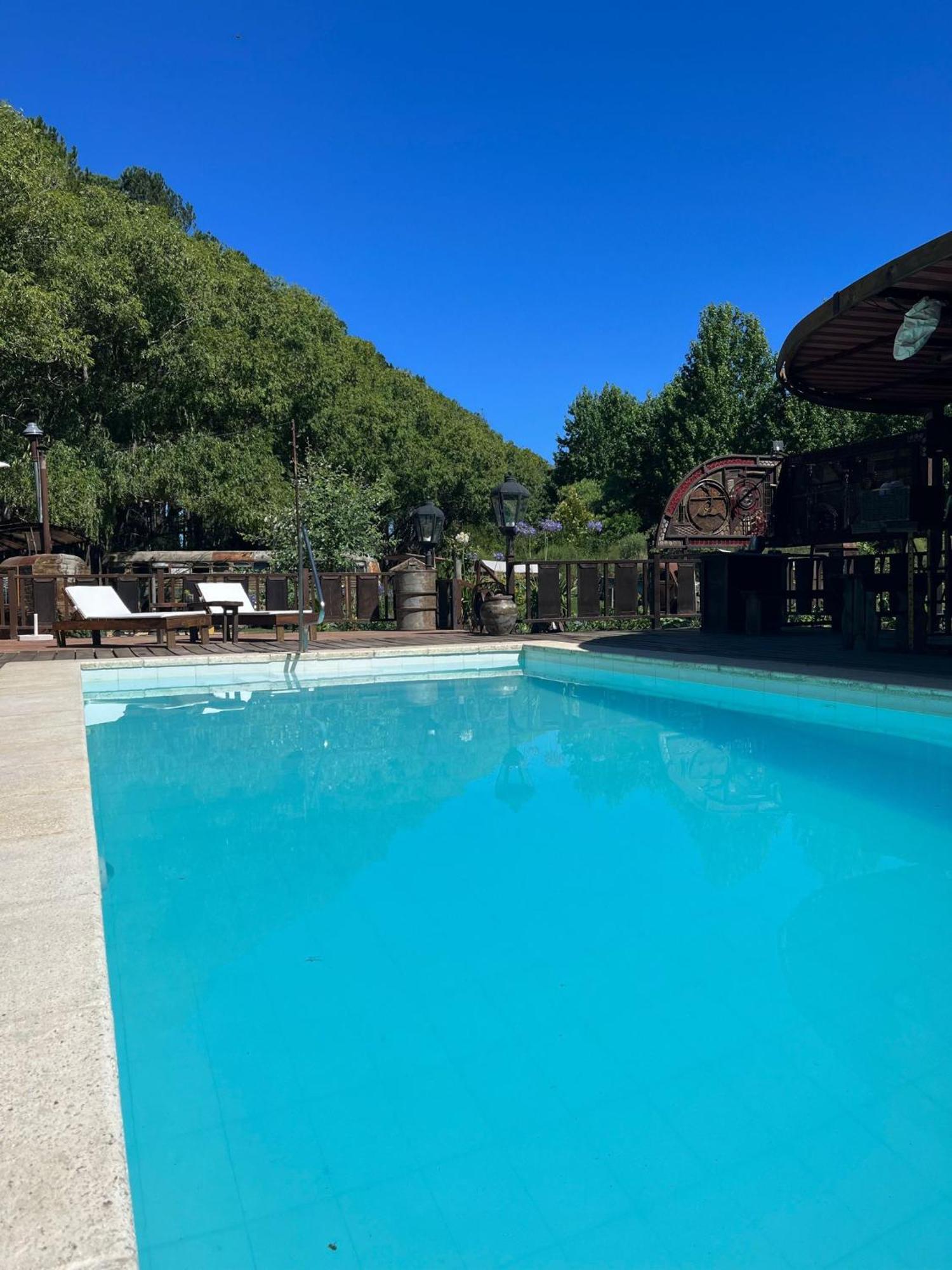 Cabanas En El Bosque A 5 Minutos Del Mar - Estancia Ch プンタ・デル・エステ エクステリア 写真